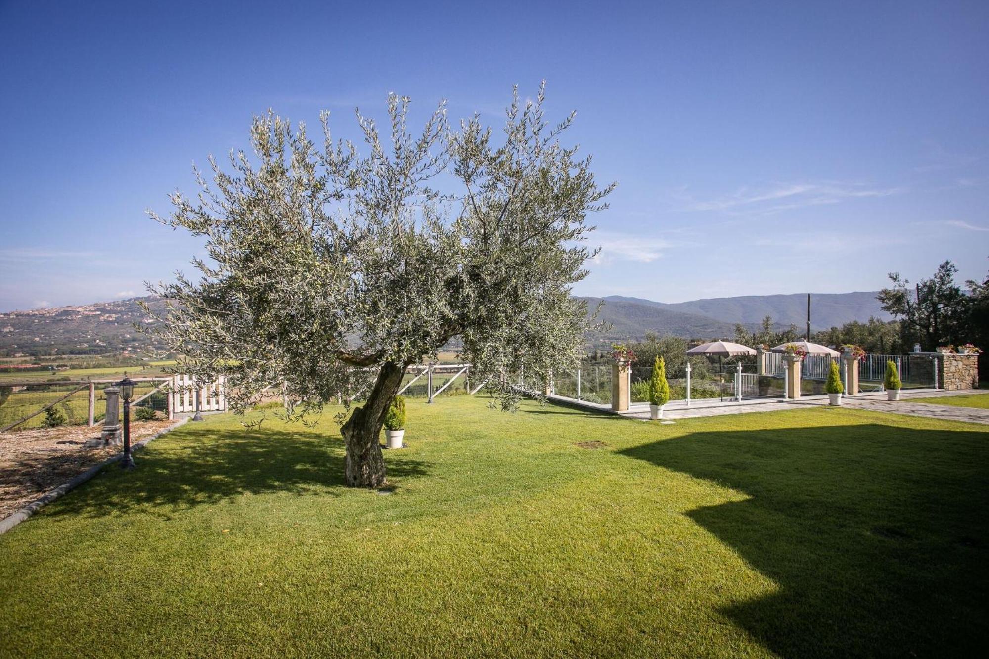 Villa Chiara Кортона Екстериор снимка
